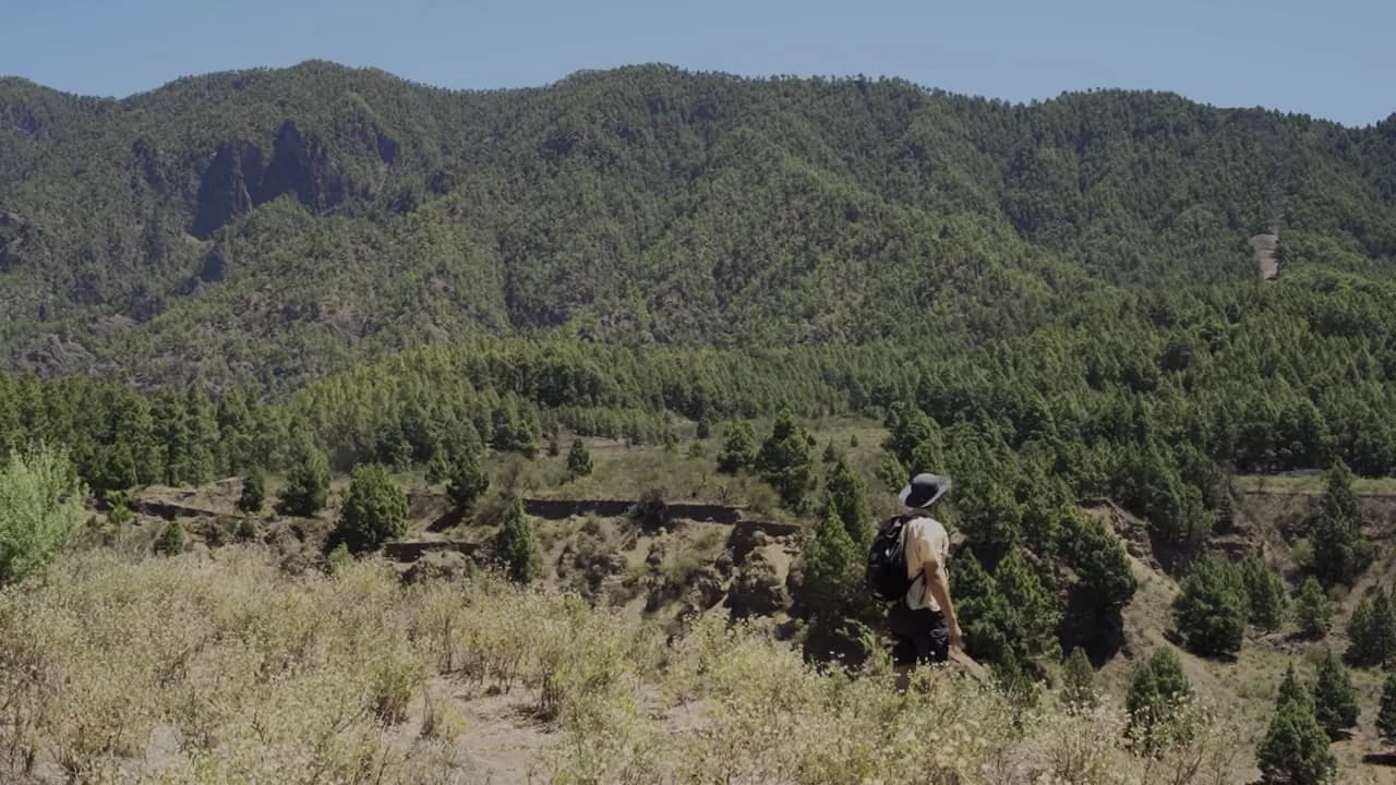Montañas que cantan · Cortometraje